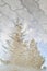 Reflection of silhouette of tall spruce in puddle on paving slab