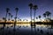 Reflection of silhouettes Palm tree