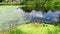 Reflection of the sky and clouds in the water of an overgrown pond. High sedge on the shore of a reservoir in the countryside