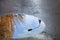 Reflection of the sky, the silhouette of a street lamp and a tree sunlit in a puddle on asphalt