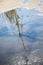 Reflection of the sky and tree in puddles of water