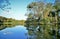 Reflection of sky and vegetation in the pond of the city park