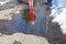 Reflection of small girl in spring puddle