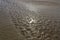 Reflection of the sun in the wet sand