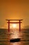 reflection torii sunset orange cloud on sky and birds flying on the sea vertical view