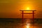 Reflection torii sunset orange cloud on sky and silhouette birds flying on sea