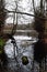 Reflection of Trees at Bolam Lake