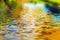 Reflection of trees in clean water waves