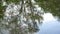 Reflection of trees in dirty river water