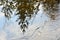 Reflection of trees in a frozen river. Water and thin ice. Autumn.