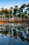 Reflection of trees in the lake water in the evening at sunset, Louisiana, USA