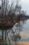 Reflection of trees in a polluted water body. Slight tinges of orange colour due to Sunset reflected on lake surface. Plastic