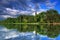 Reflection of trees in the river