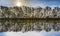 Reflection of trees in river tauber