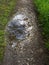 Reflection of trees and sky in a puddle on the trail in the fields after the rain