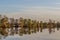 Reflection of trees on the South Carolina ICW at Thoroughfare Creek