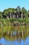 Reflection of trees in Travis Wetland Nature Heritage Park in New Zealand