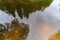 Reflection of trees in the water on the river, on a summer day in the forest in nature in Estonia