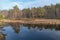 Reflection of trees in the water of a small wetland forest lake.