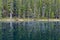 Reflection in unknown pond between Lake Herbert and Lake Louise