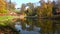 Reflection in the water of a lake of trees with yellow foliage