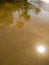 reflection on the water of the sand of a beach of a tropical seashore during a low tide showing palms, sun and buildings. Vertical