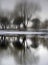 Reflection in water. Spring landscape of trees reflected in water. March. Melting ice and snow