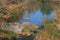 REFLECTION IN WATER OF STREAM WITH ROCKS