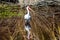 Reflection of a white ibis in a Florida mangrove