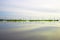 Reflection wood and green with sky to river