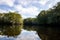 Reflections along the Black River