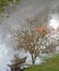 Reflections of bench , tree,  cloudy sky and sun  in a puddle with water