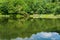 Reflections, Boardwalk and Trees on Abbott Lake