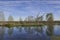 Reflections in the calm water of  a lake at the Brazos Bend State Park, on a still day in March.