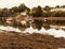 Reflections  in clear seawater at low tide in idyllic creek