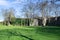 Reflections at Coalhouse Fort, in Tibury, Essex, in February, 2022.