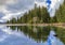 Reflections on the Coniferous Forest in a Lake