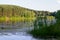 Reflections on the Coniferous Forest on a Wilderness Lake