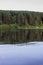 Reflections on the Coniferous Forest on a Wilderness Lake