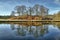 Reflections of a copse of trees in Elterwater.