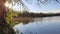 Reflections on the dark water of small pond in the forest. Wild nature details in summer day.