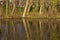 Reflections in the Grand Union Canal.