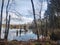 Reflections on heathland floodwaters, Avon Heath Country Park UK