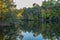 Reflections on the lake in autumn