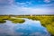 Reflections in a marsh in St. Augustine, Florida.