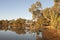 Reflections in an outback lagoon