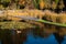 Reflections plants and reeds with autumn colors in the pond of a city park