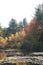 Reflections on a pond in Harold Parker State Park