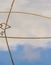 Reflections of reed straws and sky on water surface