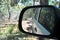 Reflections in a side view mirror of a car driving in the bush.